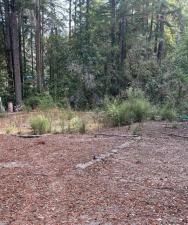 MLS #ML81944581 image #0