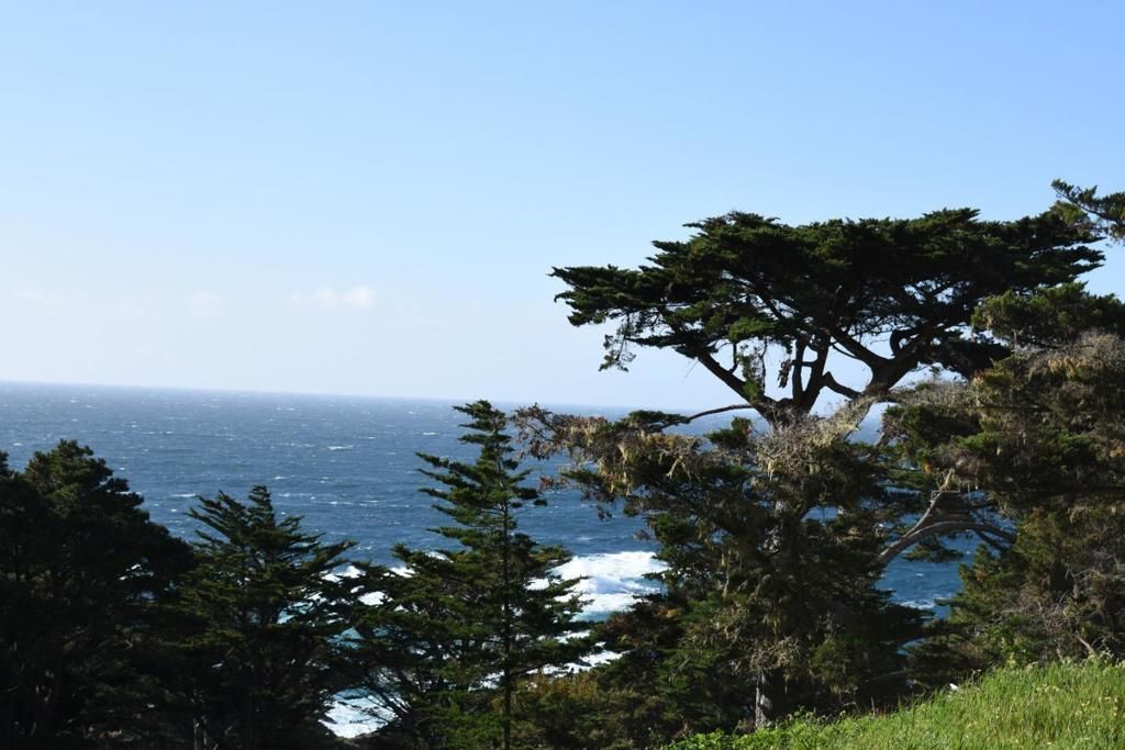 MLS #ML81947264 image #0