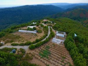 MLS #ML81953193 image #0