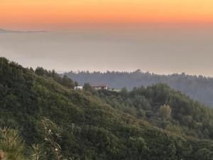 MLS #ML81953193 image #0