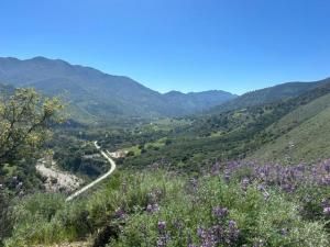 MLS #ML81963219 image #0