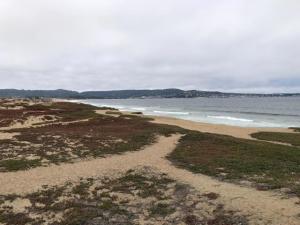 MLS #ML81964343 image #0