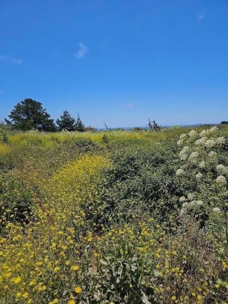 MLS #ML81971865 image #0