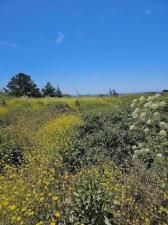 MLS #ML81971865 image #0