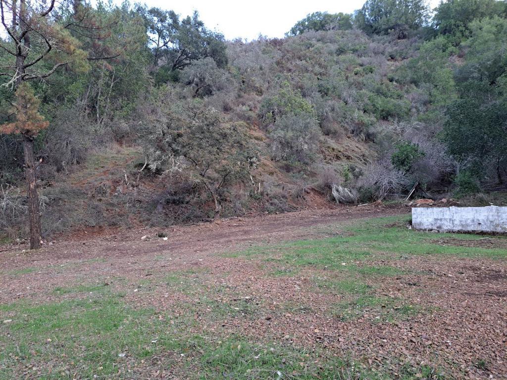 MLS #ML81980361 image #0