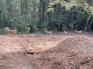 MLS #ML81985120 image #0