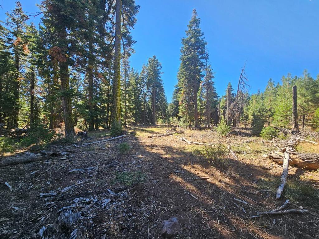 MLS #ML81987333 image #0
