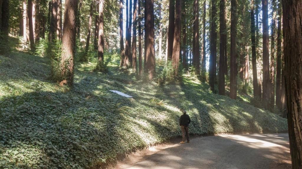 MLS #ML81988191 image #0