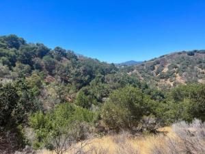 MLS #ML81991274 image #0