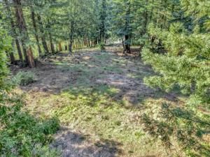 MLS #ML81992698 image #0