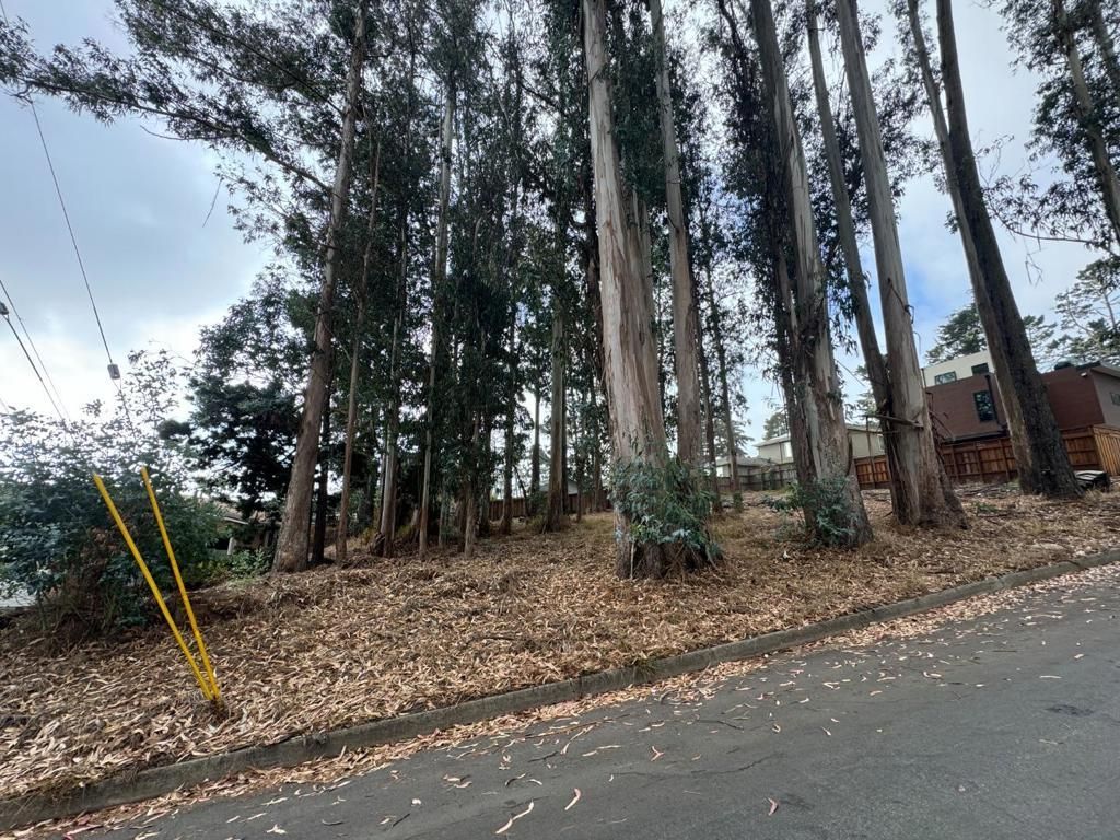 MLS #ML81992818 image #0