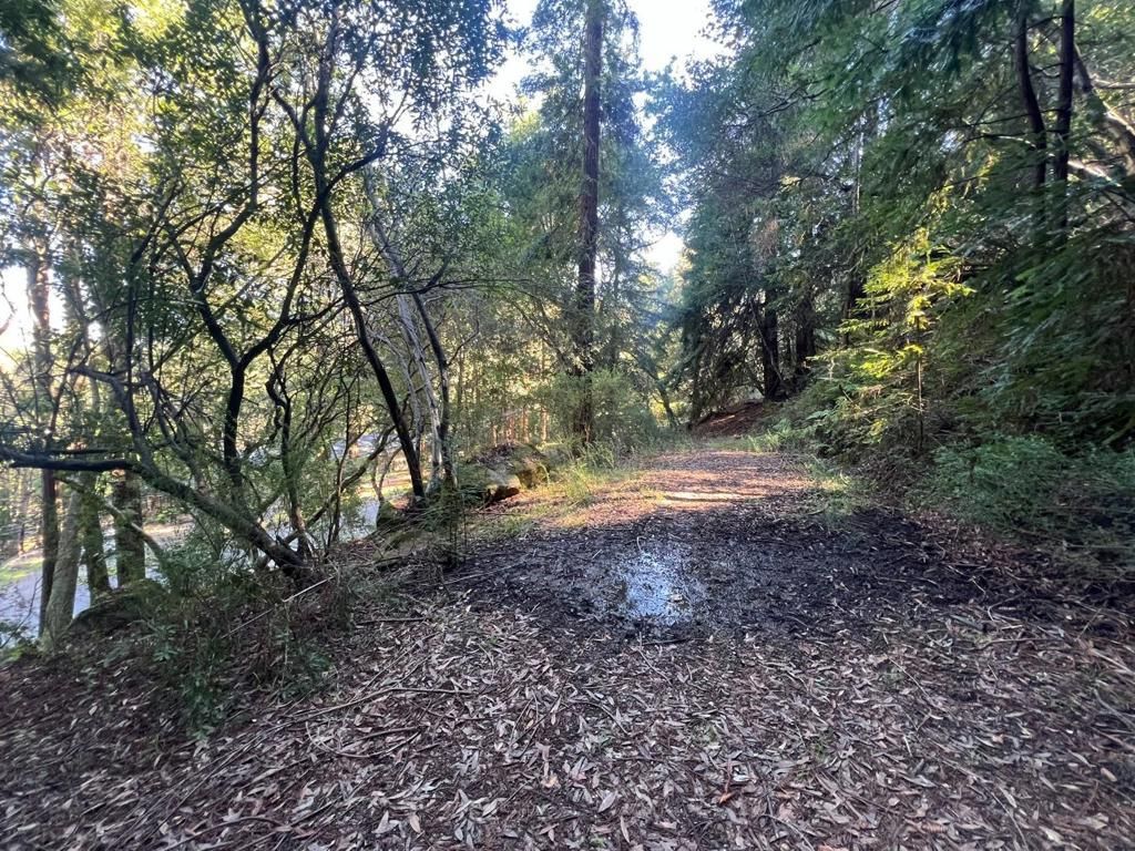 MLS #ML81995474 image #0