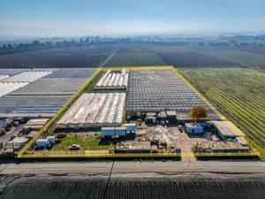 MLS #ML81996407 image #0