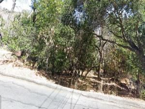 MLS #ML81996843 image #0