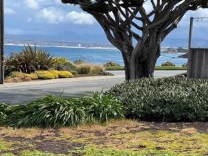 MLS #ML81997184 image #0