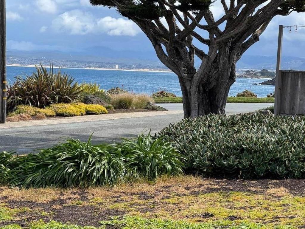 MLS #ML81997184 image #0