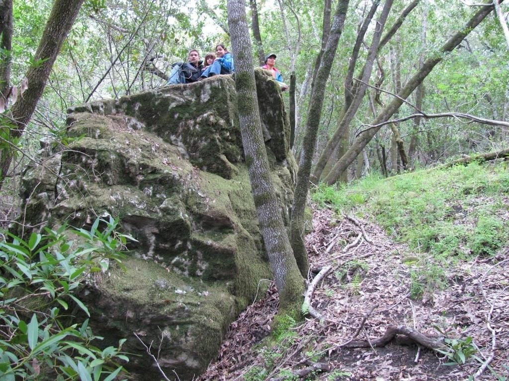 MLS #ML81999164 img 0