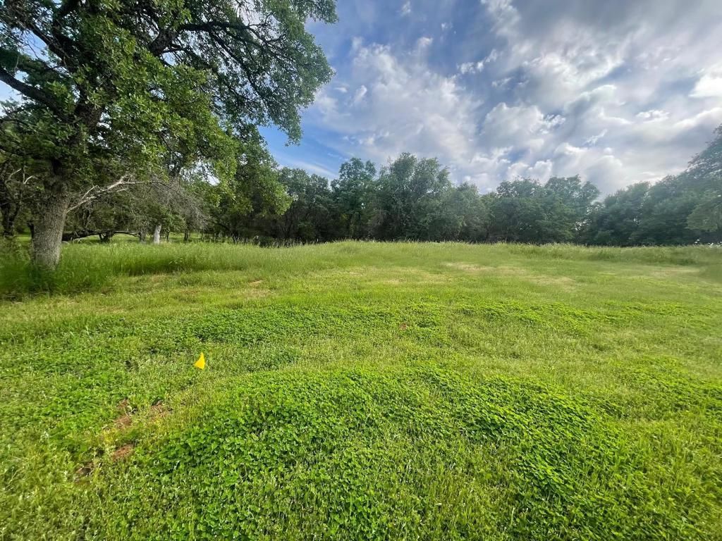 MLS #ML81999720 image #0