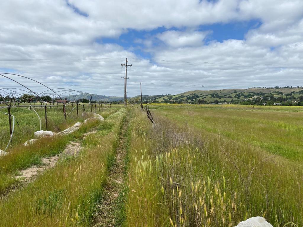 MLS #ML81999825 image #0