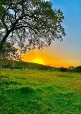 MLS #ML82001844 image #0