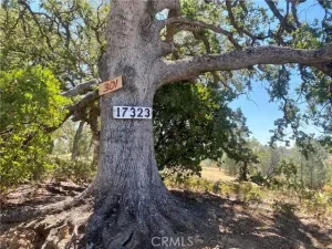 broker reciprocity