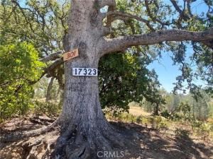 MLS #ML82003200 image #0