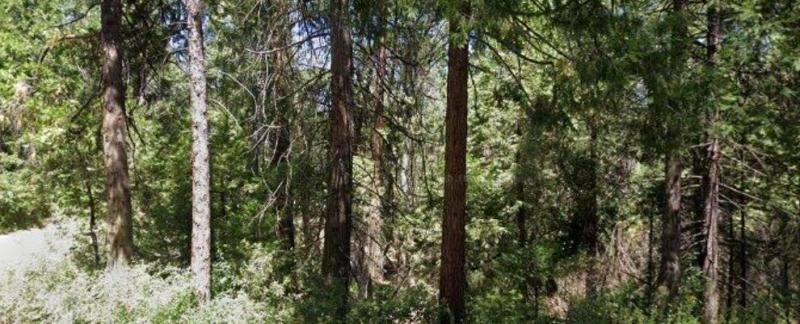 MLS #ML82005875 image #0