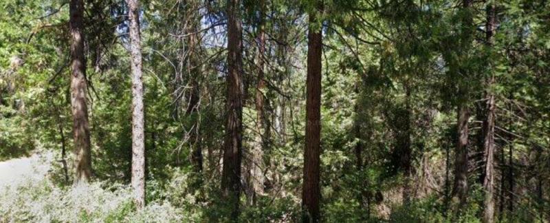 MLS #ML82005875 image #0
