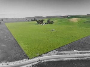 MLS #ML82006400 image #0