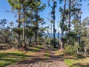 MLS #ML82006900 image #0