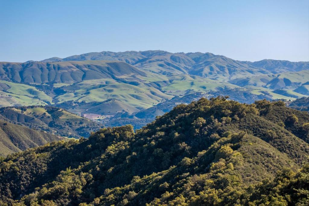 MLS #ML82006903 image #0