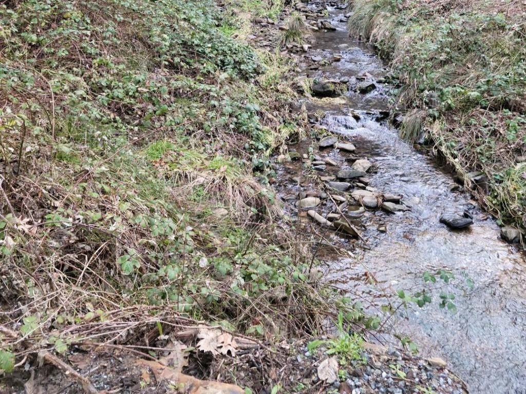 MLS #ML82007488 image #0