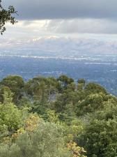 MLS #ML82007769 image #0