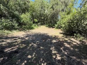 MLS #ML82008444 img 0