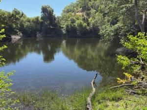 MLS #ML82008444 image #0