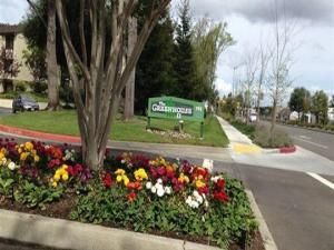 MLS #ML82008866 image #0