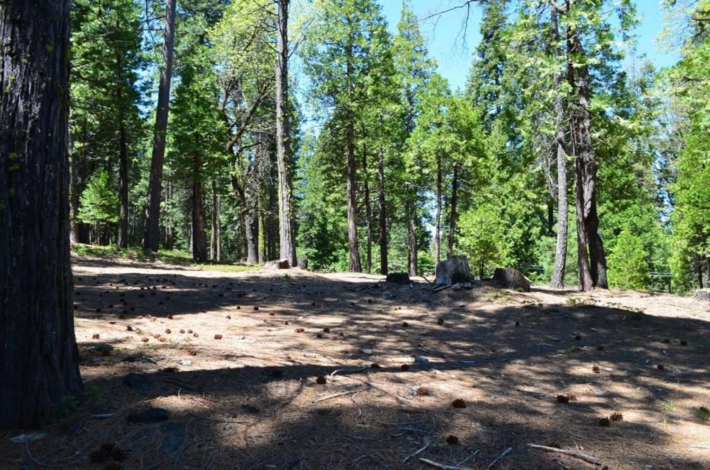 MLS #ML82009013 image #0