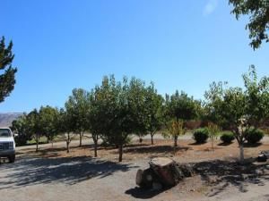 MLS #ML82009559 image #0