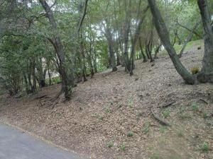 MLS #ML82009665 image #0