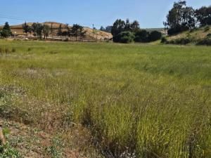 MLS #ML82011684 image #0