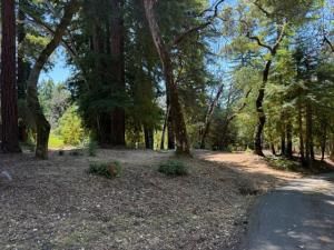 MLS #ML82011850 image #0