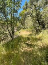 MLS #ML82012016 image #0