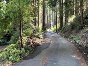 MLS #ML82012062 image #0