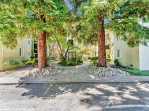 MLS #ML82012751 image #0