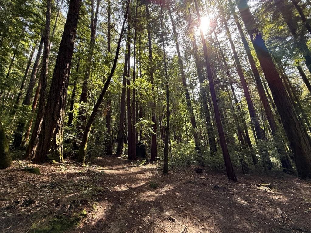 MLS #ML82012798 image #0