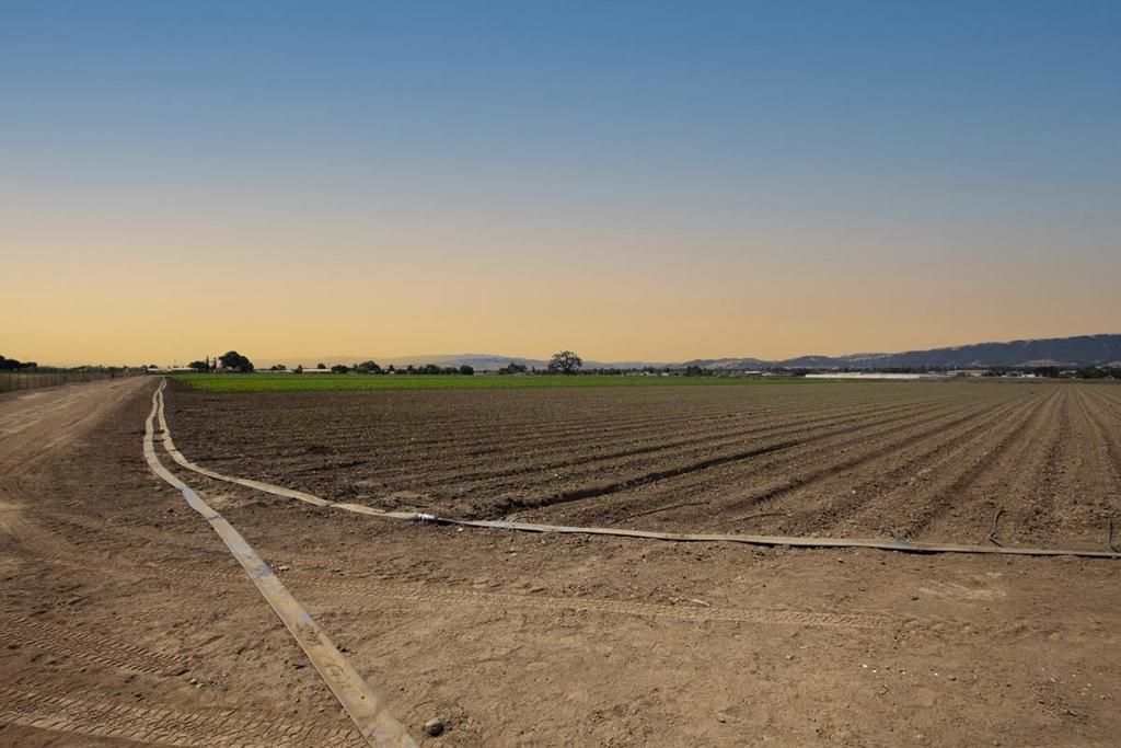 MLS #ML82013003 img 0