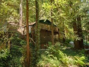 MLS #ML82013104 image #0