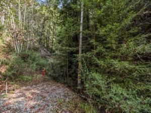 MLS #ML82013202 image #0