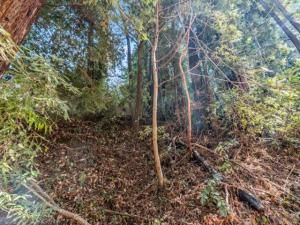 MLS #ML82013205 image #0