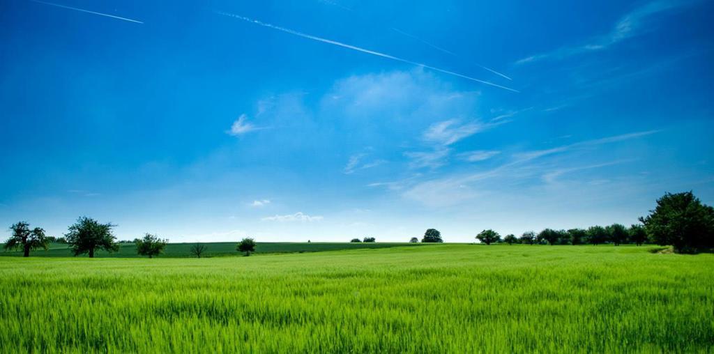 MLS #ML82013337 image #0